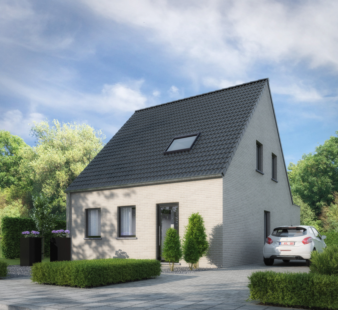 Kauw main image