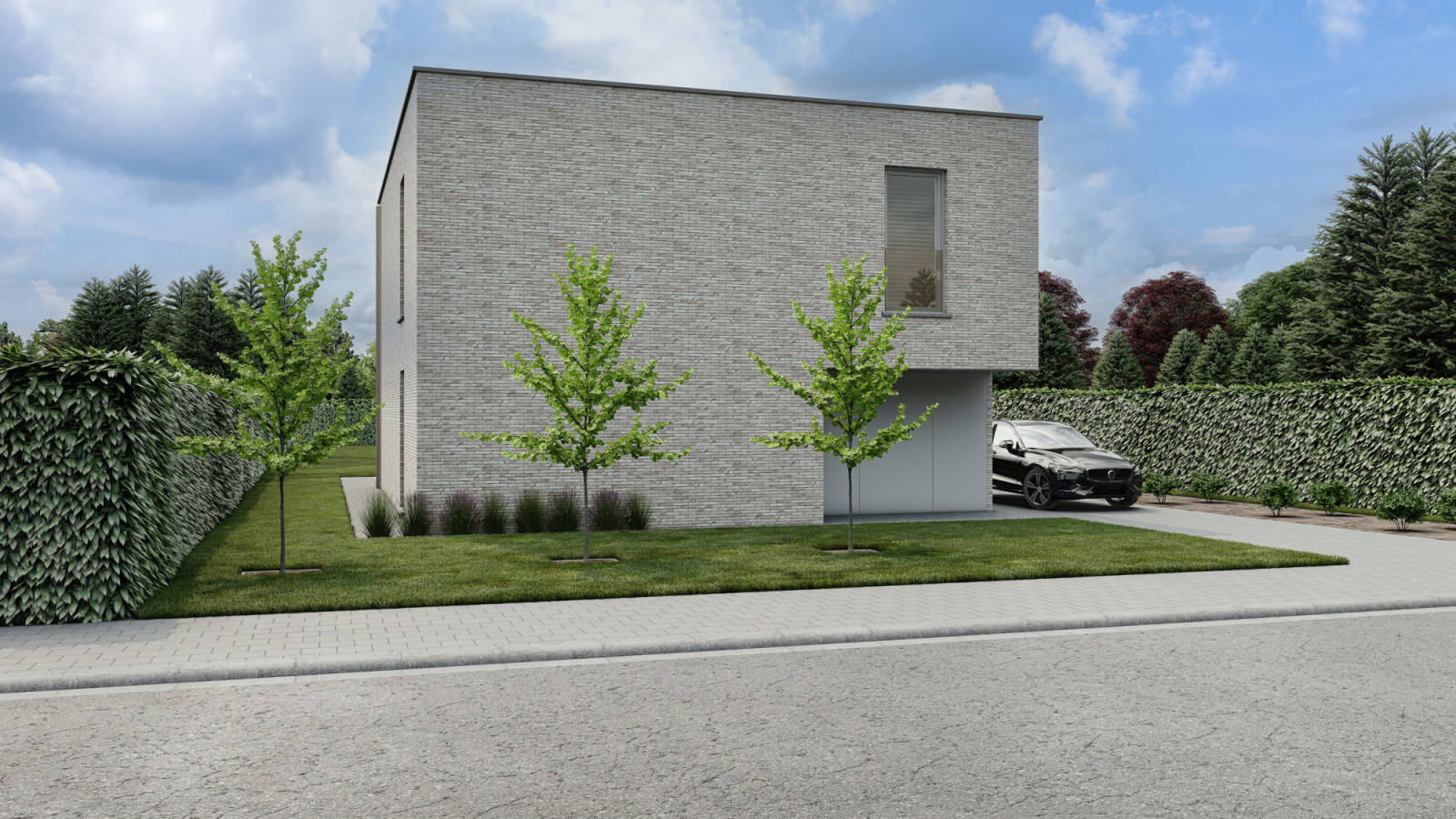 Grijze Gors extra image 2