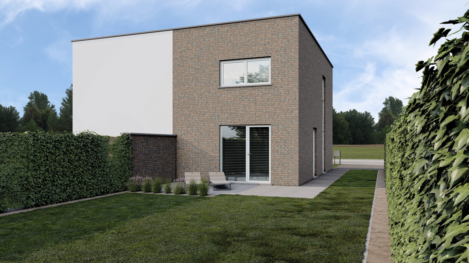 Bijkolibrie extra image 1