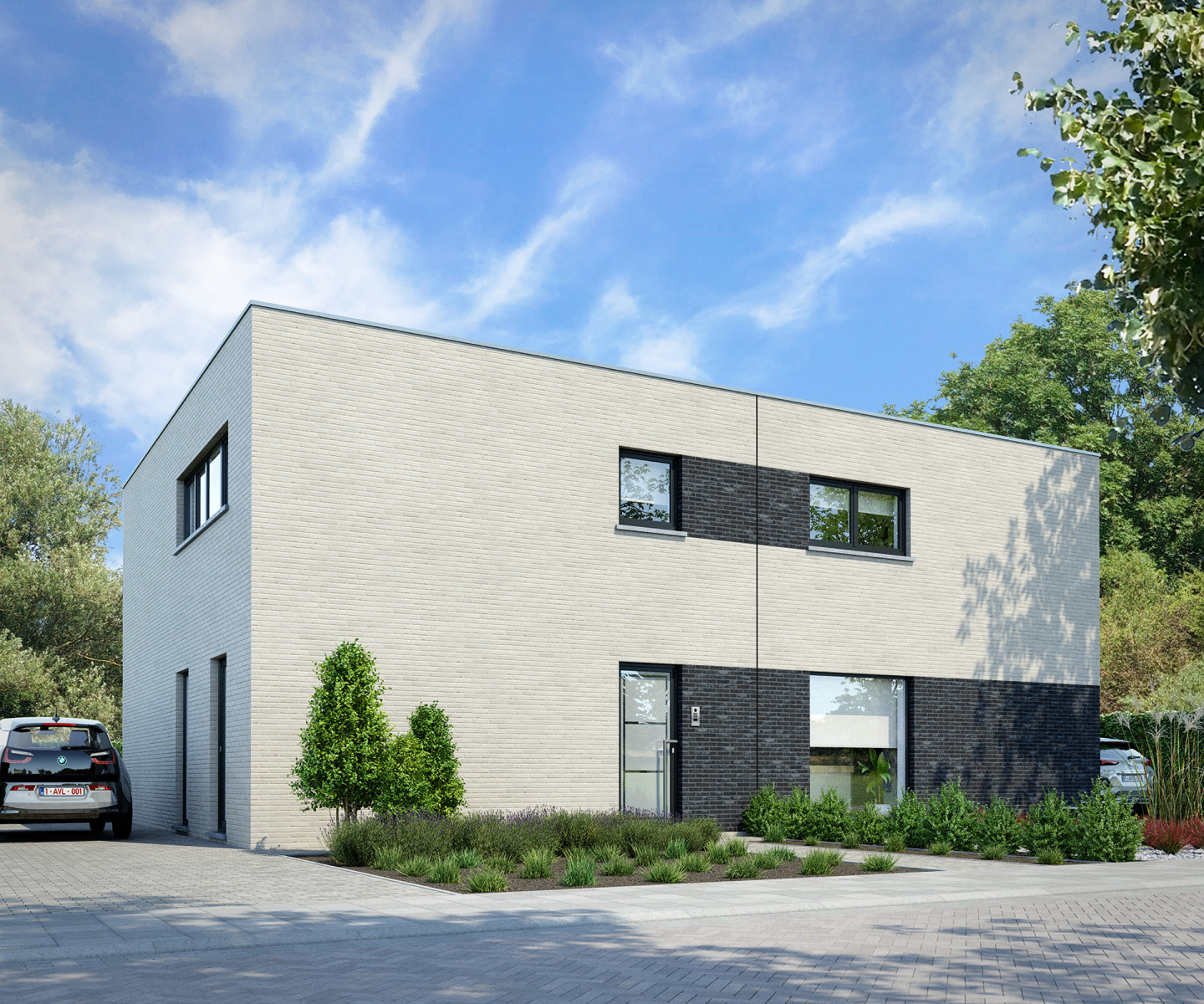 Rietgans extra image 4