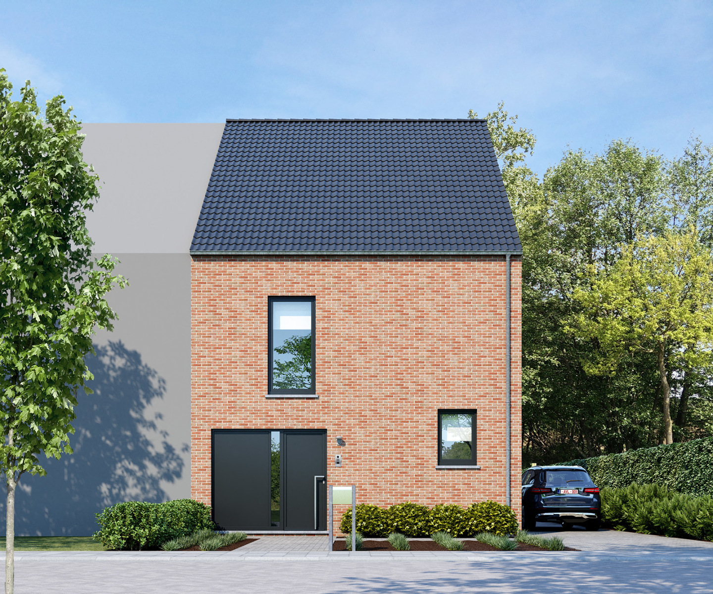 Pijlstaart extra image 2