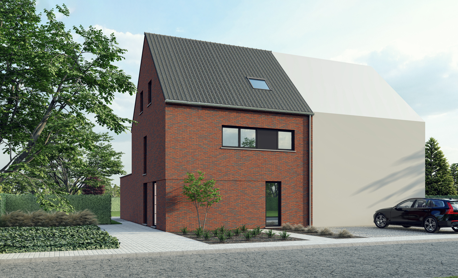 Grijskopspecht main image