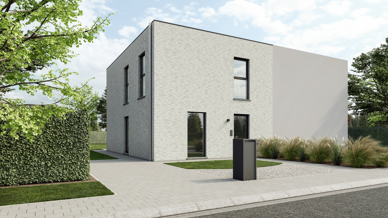 Witte pelikaan main image