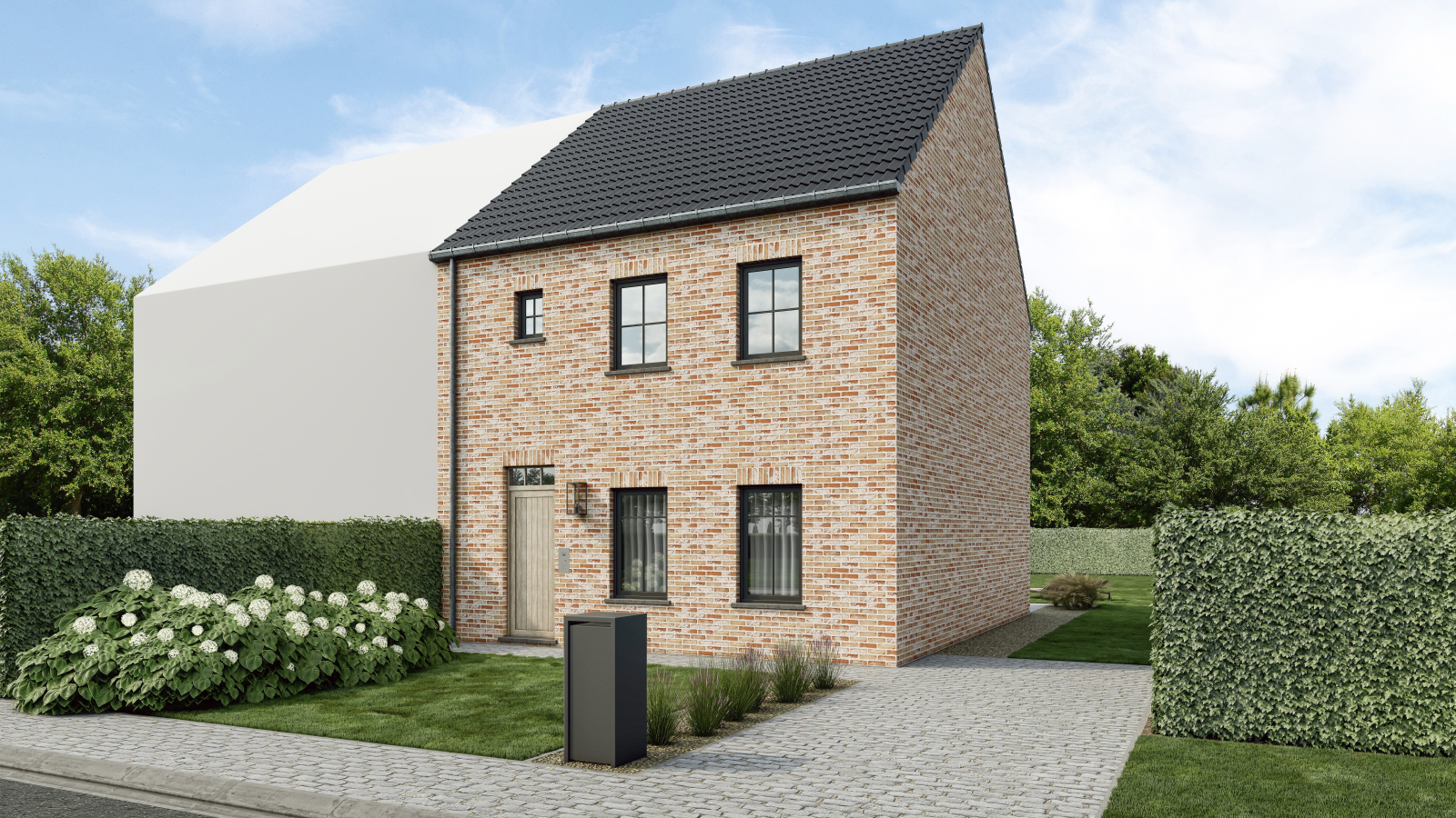 Dwergvalk main image