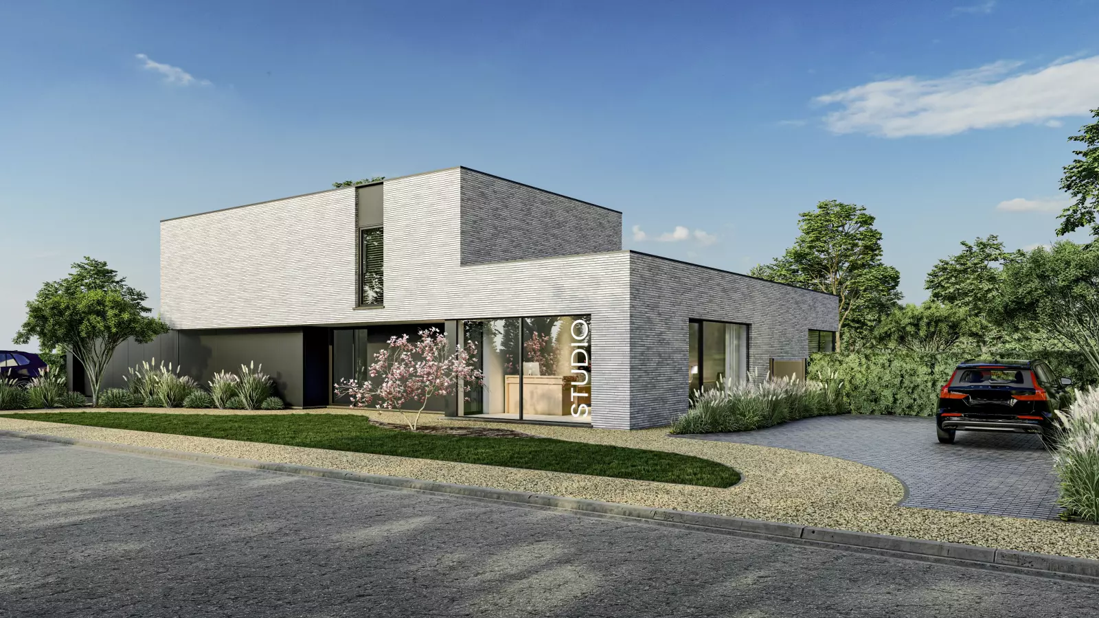 Koningspinguïn main image