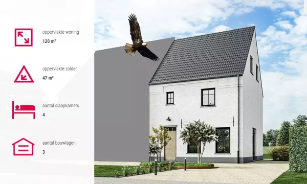 AVL Woningbouw Zeearend nieuwe kijkwoning